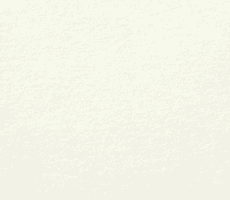 コットンホワイト