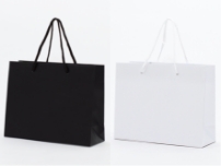 ボディーカラー・ハンドルカラー