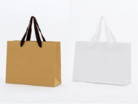 ボディーカラー・ハンドルカラー