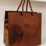 ギラギラ！ワイルドなショップ袋！を読む