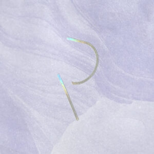 白と紫のシンプルベースに、オーロラ箔でロゴを華やかに表現したユニークなスイーツブランドのオリジナル紙袋 