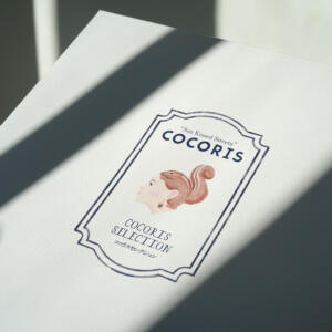 フルカラー印刷で鮮やかに描かれた、リスのようなヘアスタイルの女の子のイラストが可愛いオリジナルボックス