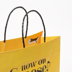 フルカラー印刷で鮮やかに表現された、ポップなカラーリングとイラストがかわいい、チーズスイーツ専門店のオリジナル紙袋