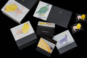 艶のある特殊加工が神秘的なイラストを際立たせる、高級感あふれるオリジナルパッケージ