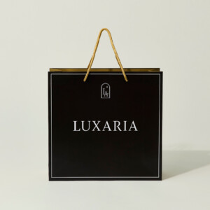 切り替えデザインがかっこいい紙袋1