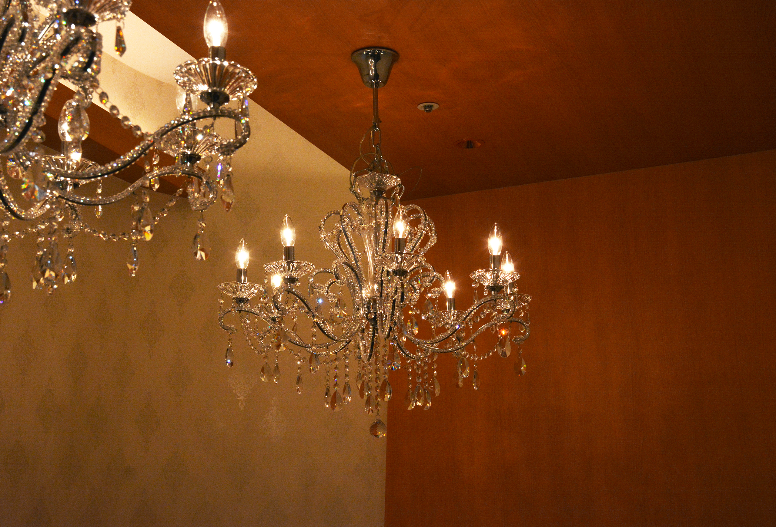 レストラン ラ フィネス 様