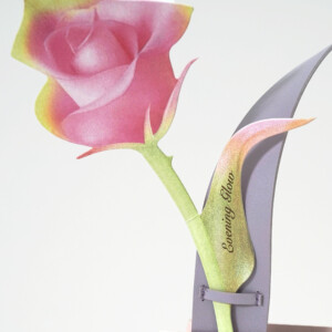 韓国コスメブランドの鮮やかなローズの造花が美しいオリジナル紙袋