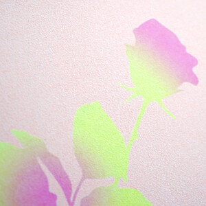 韓国コスメブランドのエンボス加工が上品なオリジナル紙袋