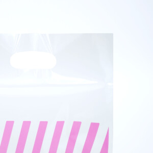 人気関西雑誌ブランドの小判抜きハンドルのポリ袋と軽やかな素材感が魅力のオリジナルポリ袋