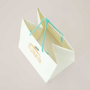 印刷面とイラストを生かした紙袋4