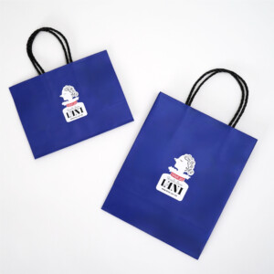 チェック柄の仕掛けがユニークなアクセントに。美しい女性のイラストが魅力的なバニラスイーツブランドのオリジナル紙袋